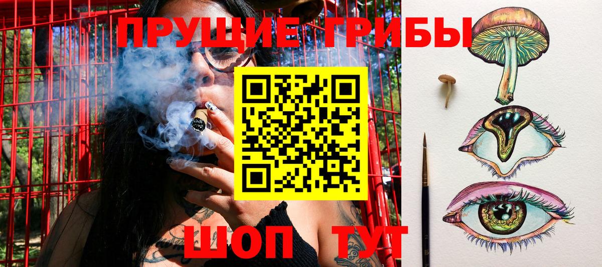 Заводоуковск  Псилоцибиновые грибы MAGIC MUSHROOMS  Вход с VPN 