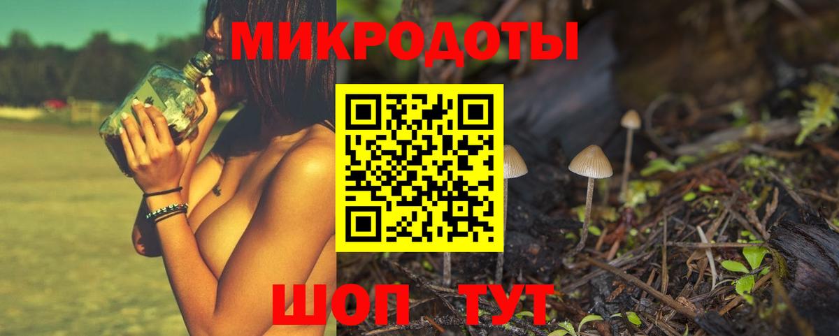 Галлюциногенные грибы Magic Shrooms Заводоуковск